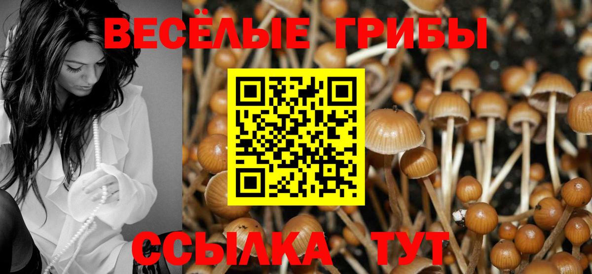 Усинск  Галлюциногенные грибы Psilocybine cubensis  наркотики  Вход с VPN 